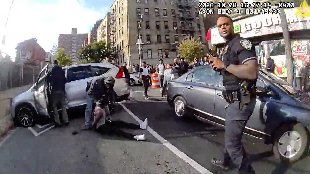 Federal judge blocks deportation of Dominican illegal immigrant shot by ICE during NYC arrest attempt