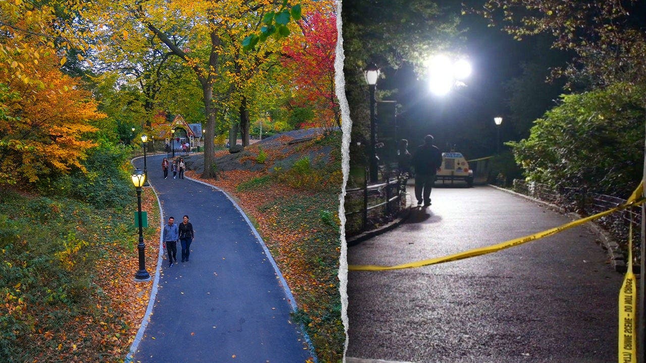 Central Park rape at knifepoint leaves suspect at large, NYPD says