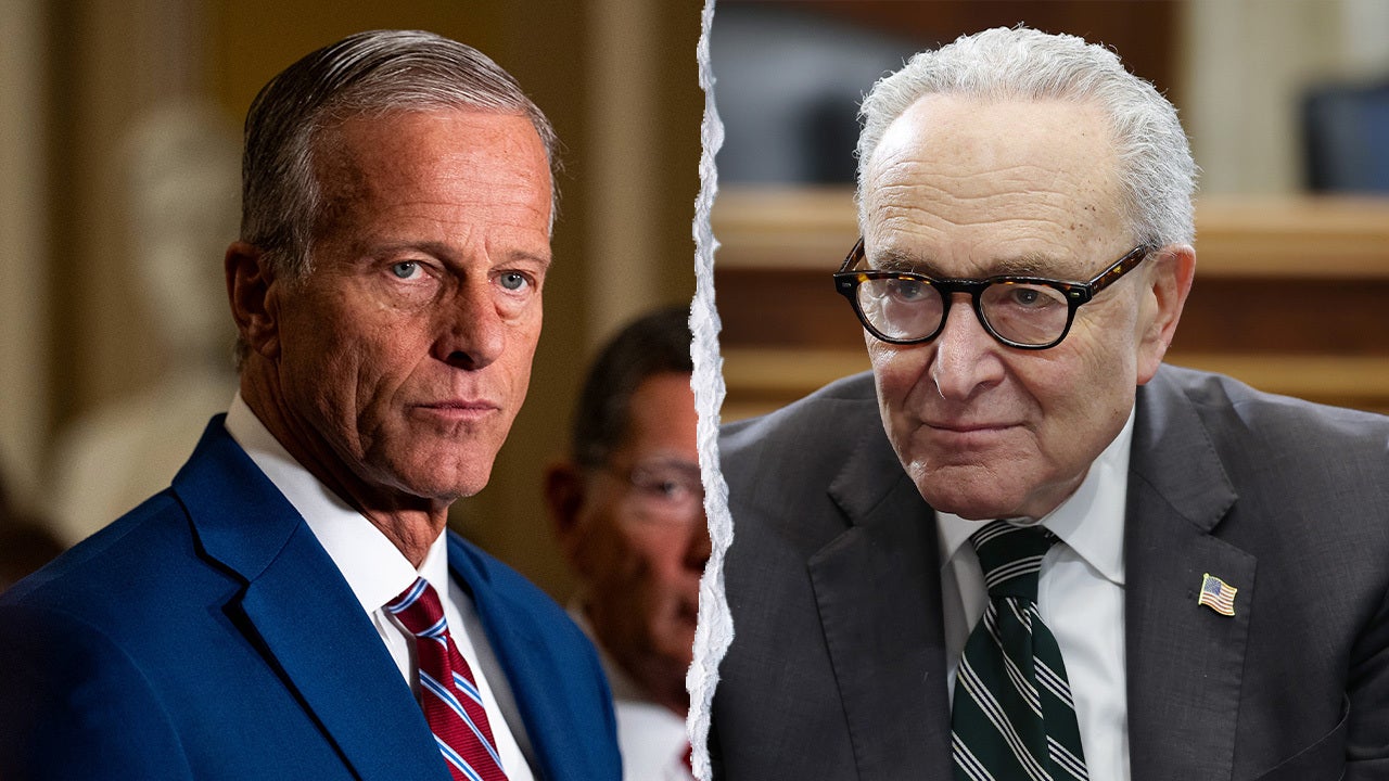 Thune hits key battleground states as Schumer skips campaign trail