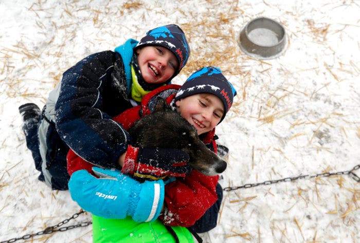 Czech Republic Dog Sled Race