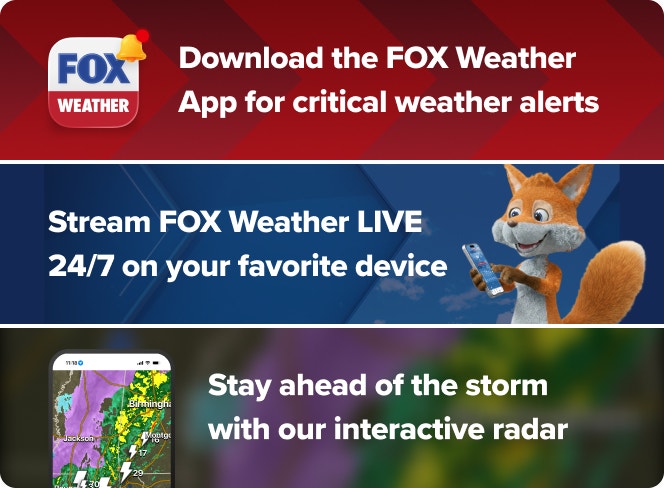 Download the Fox Weather app